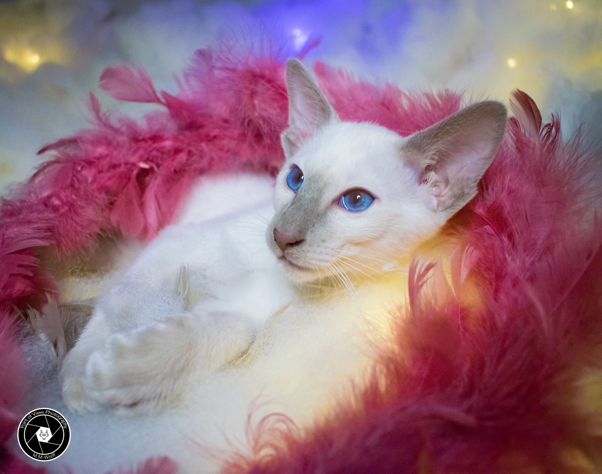 164-D - 66620 Nonnweiler.jpg